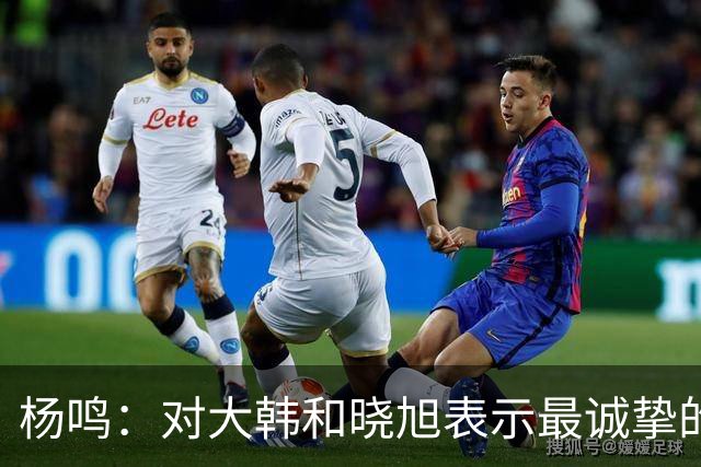 杨鸣：对大韩和晓旭表示最诚挚的感谢和尊重